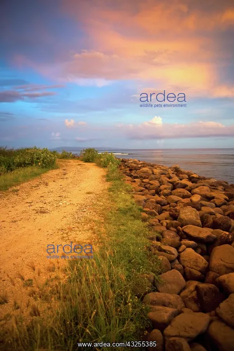 : Bali, Indonesia. Serangan is a popular coastal : Bali, Indonesia. Serangan is a popular coastal