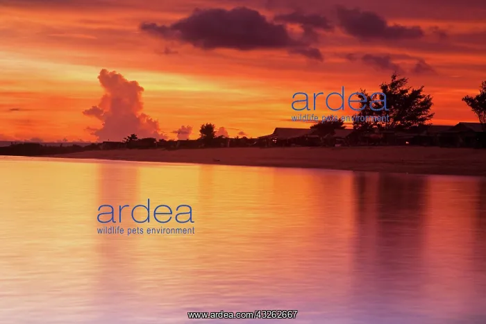 : Bali, Indonesia. Serangan is a popular coastal : Bali, Indonesia. Serangan is a popular coastal