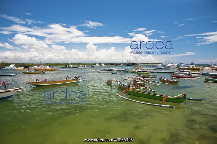 : Bali, Indonesia. Serangan is a popular port : Bali, Indonesia. Serangan is a popular port