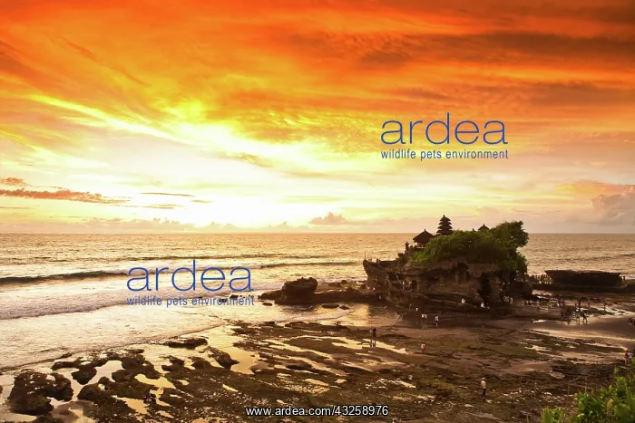  : Bali, Indonesia. Tanah Lot, one of Indonesian's