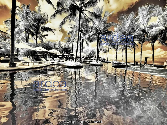  : Bali, Ubud. Ponds and pools at hotel in Ubud
