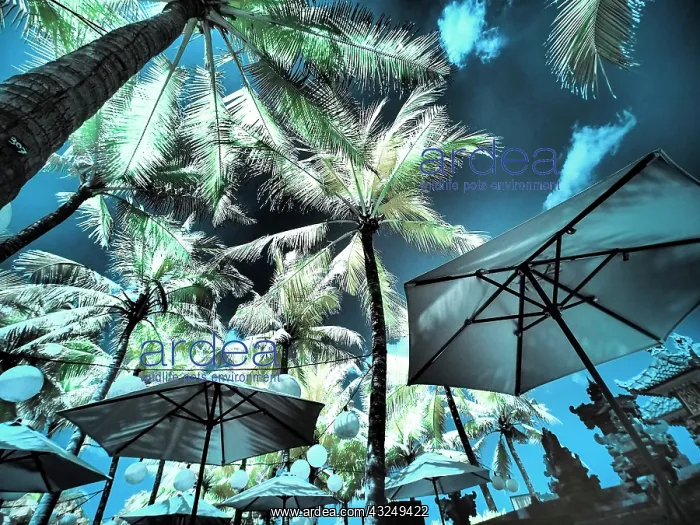 : Bali, Ubud. Umbrellas, Ponds and pools at hotel in Ubud : Bali, Ubud. Umbrellas, Ponds and pools at hotel in Ubud