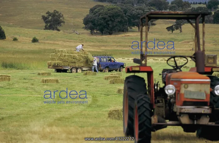 : Baling hay : Baling hay