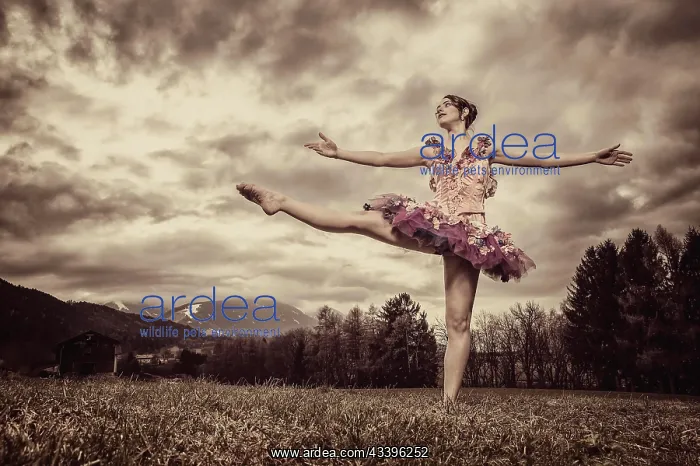: Ballerina wearing a tutu dances in front of a cloudy, g : Ballerina wearing a tutu dances in front of a cloudy, g