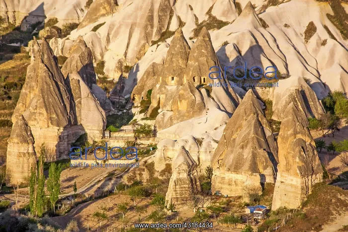 : Balloon ride over fantastic tuff formations, Cappadocia : Balloon ride over fantastic tuff formations, Cappadocia
