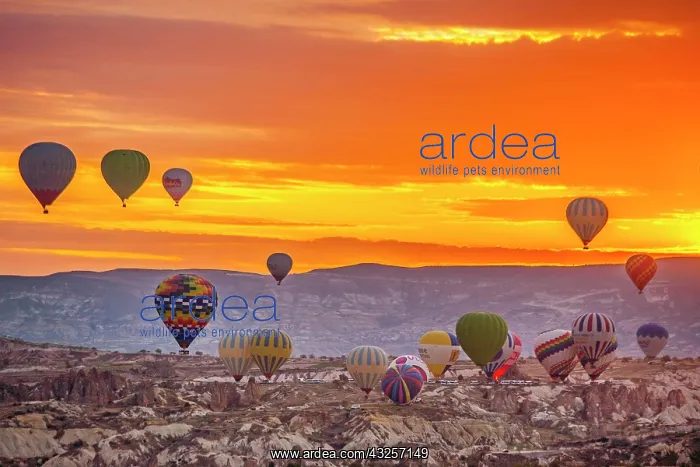 : Balloon ride over fantastic tuff formations, Cappadocia : Balloon ride over fantastic tuff formations, Cappadocia