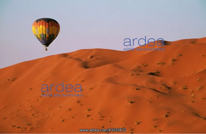 : Balloon Safari - the balloon over a grass-grown dune : Balloon Safari - the balloon over a grass-grown dune