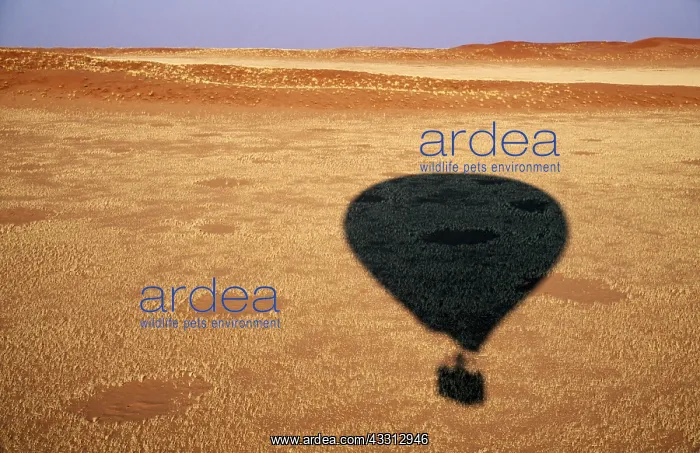 : Balloon safari - at the edge of the southern Namib : Balloon safari - at the edge of the southern Namib