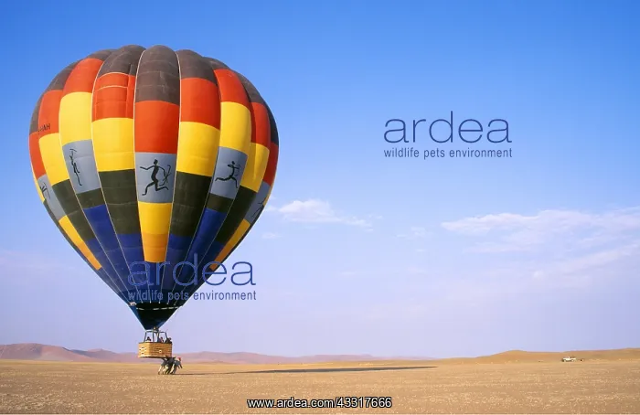 : Balloon Safari - after having landed again, the : Balloon Safari - after having landed again, the