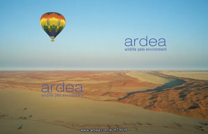  : Balloon Safari, Namibia - At a perfect morning