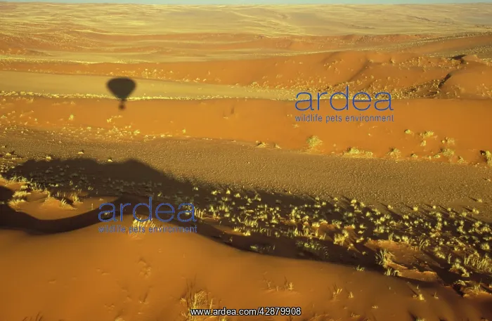 : Balloon Safari, Namibia - The shadow of the hot-air : Balloon Safari, Namibia - The shadow of the hot-air