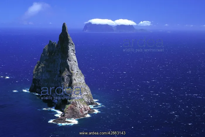 : Balls Pyramid worldIs tallest sea stack, 562 metres : Balls Pyramid worldIs tallest sea stack, 562 metres