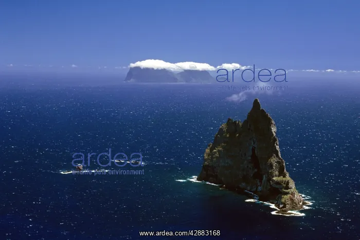 : Balls Pyramid worldIs tallest sea stack, 562 metres : Balls Pyramid worldIs tallest sea stack, 562 metres