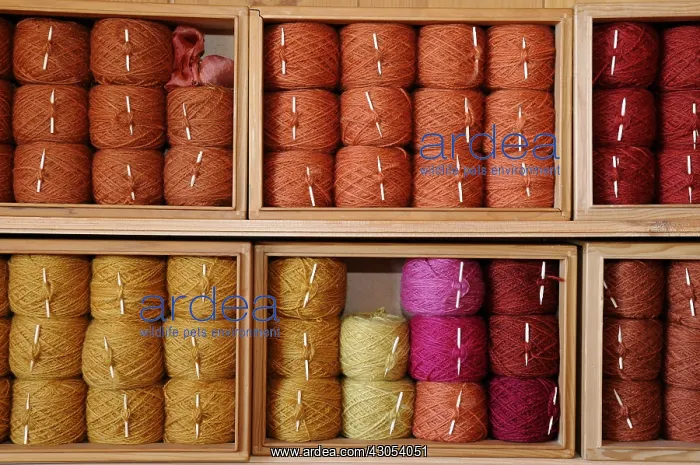 : Balls of Sheep wool dyed by craftsmen Orbey : Balls of Sheep wool dyed by craftsmen Orbey