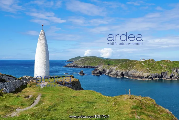  : Baltimore Beacon, County Cork, Ireland, Europe Beacon