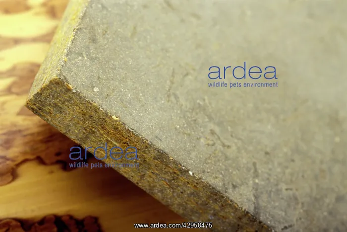  : Bamboo Chipboard