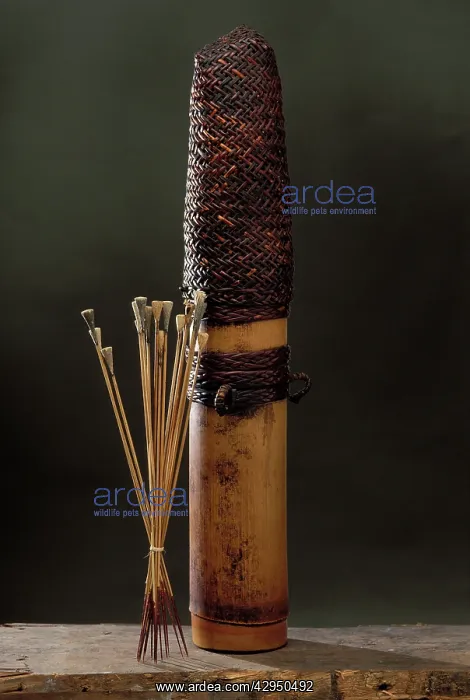 : Bamboo quiver and poisoned darts : Bamboo quiver and poisoned darts