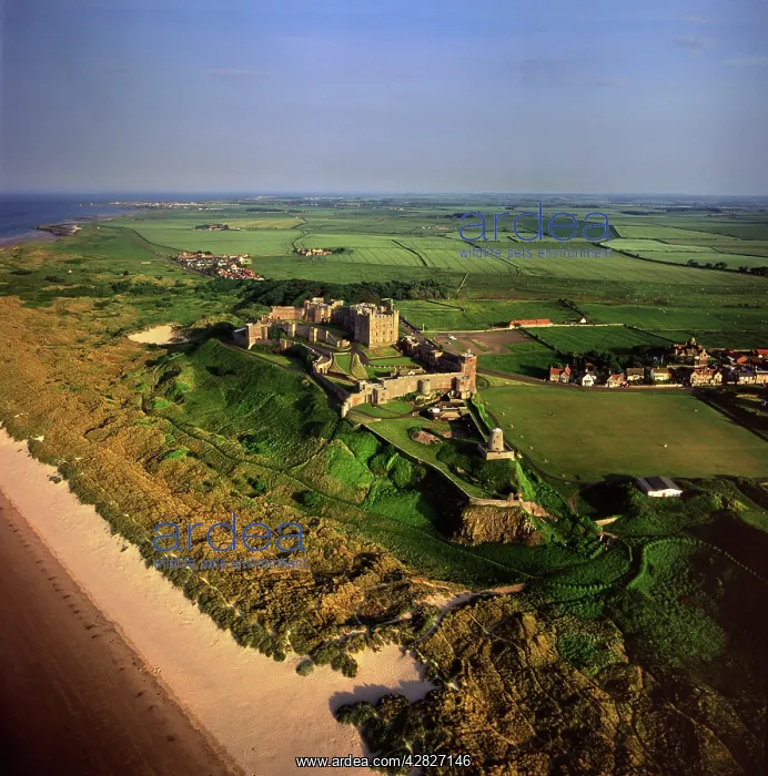 : Bamburgh Castle : Bamburgh Castle