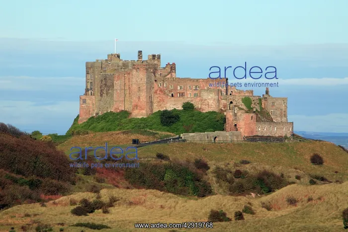 : Bamburgh Castle - view south of castle from beach : Bamburgh Castle - view south of castle from beach