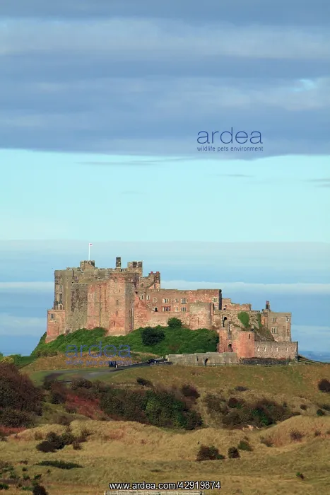 : Bamburgh Castle - view south of castle from beach : Bamburgh Castle - view south of castle from beach