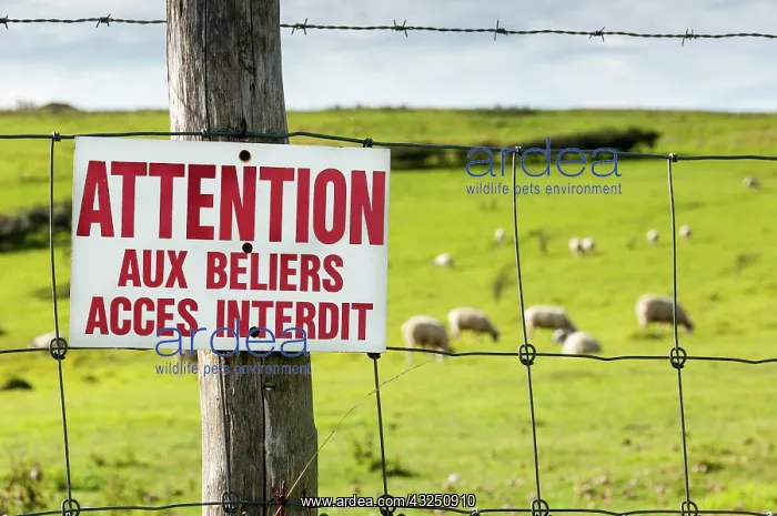 : Ban sign Be careful to aries : Ban sign Be careful to aries