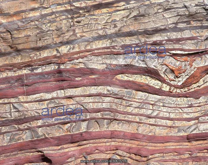 : Banded Iron Rock : Banded Iron Rock