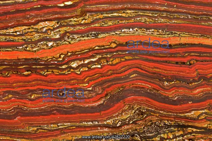 : Banded Iron - Sedimentary Rock, (red rock is Jasper) : Banded Iron - Sedimentary Rock, (red rock is Jasper)