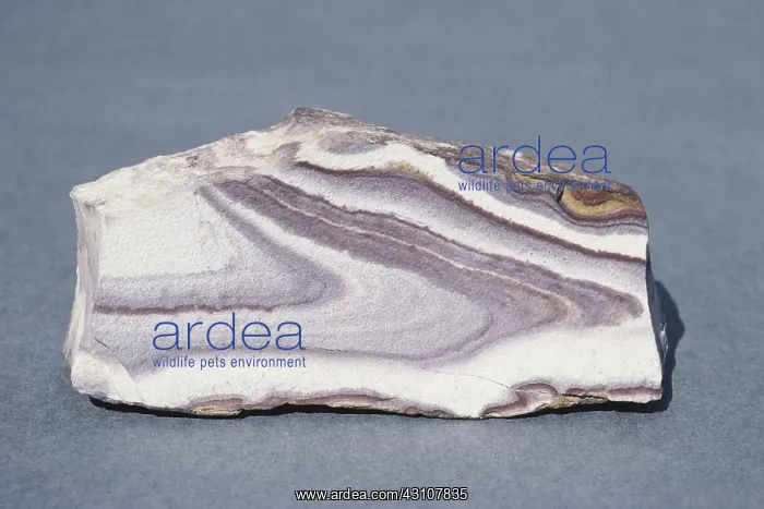 : Banded Rhyolite : Banded Rhyolite