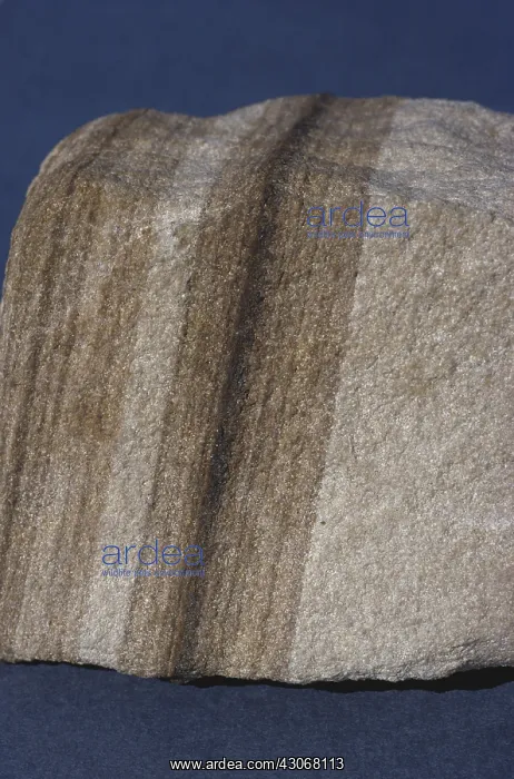 : Banded Sandstone : Banded Sandstone