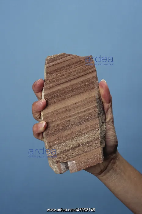 : Banded Sandstone : Banded Sandstone