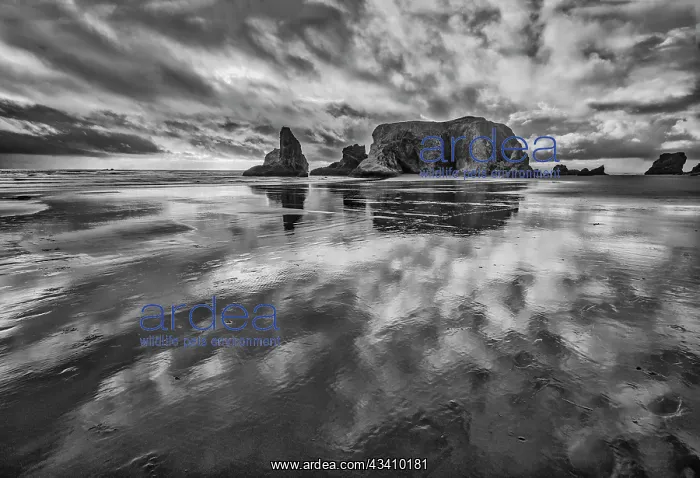 : Bandon Beach, Oregon : Bandon Beach, Oregon
