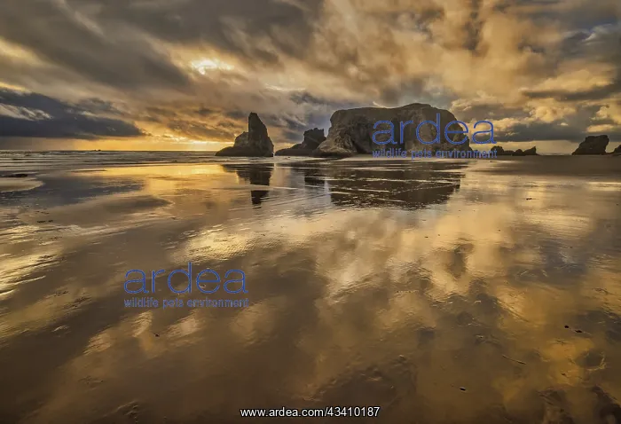 : Bandon Beach, Oregon : Bandon Beach, Oregon