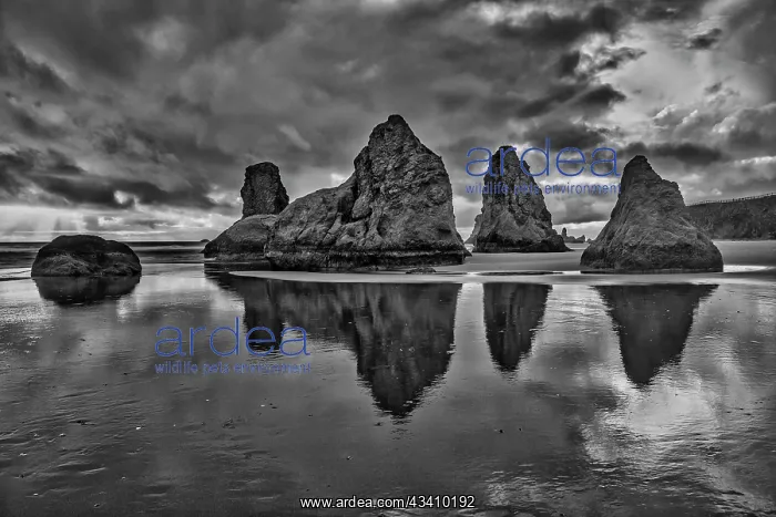 : Bandon Beach, Oregon : Bandon Beach, Oregon