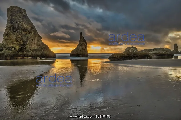 : Bandon Beach, Oregon : Bandon Beach, Oregon