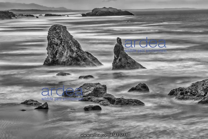 : Bandon Beach, Oregon : Bandon Beach, Oregon
