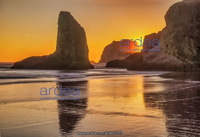 : Bandon Beach, Oregon : Bandon Beach, Oregon