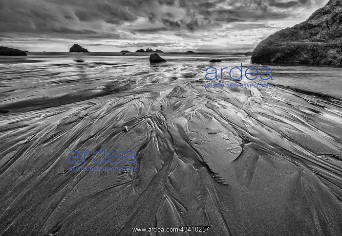 : Bandon Beach, Oregon : Bandon Beach, Oregon