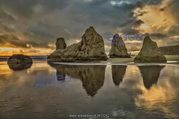 : Bandon Beach, Oregon : Bandon Beach, Oregon