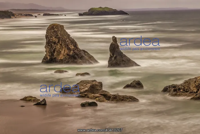 : Bandon Beach, Oregon : Bandon Beach, Oregon
