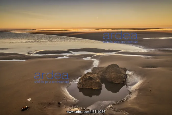: Bandon Beach, Oregon : Bandon Beach, Oregon