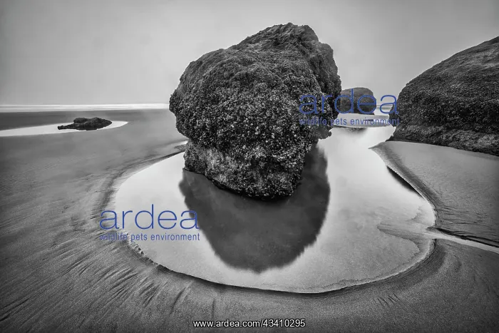: Bandon Beach, Oregon : Bandon Beach, Oregon