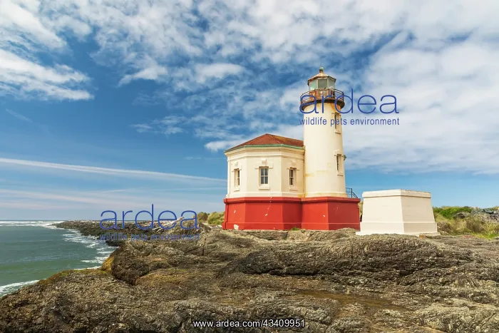 : Bandon, Oregon, USA. The Coquille River Lighthouse : Bandon, Oregon, USA. The Coquille River Lighthouse