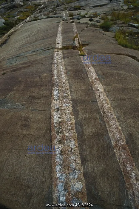 : Bands of Granite : Bands of Granite
