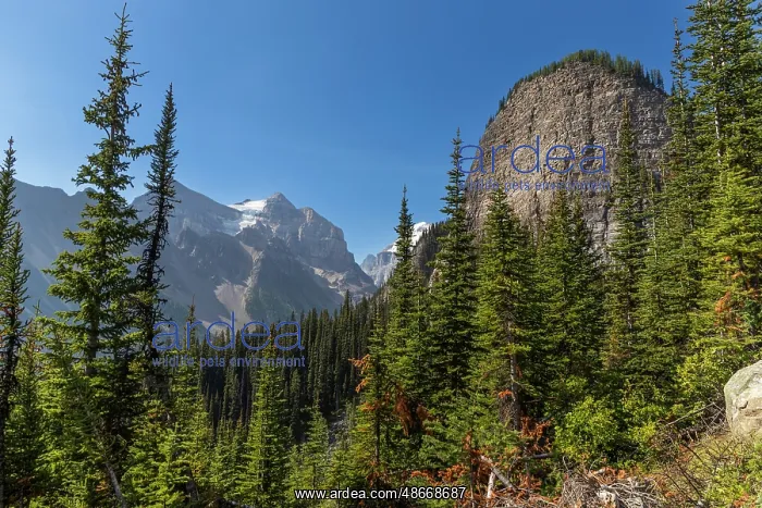  : Banff National Park, Alberta, Canada