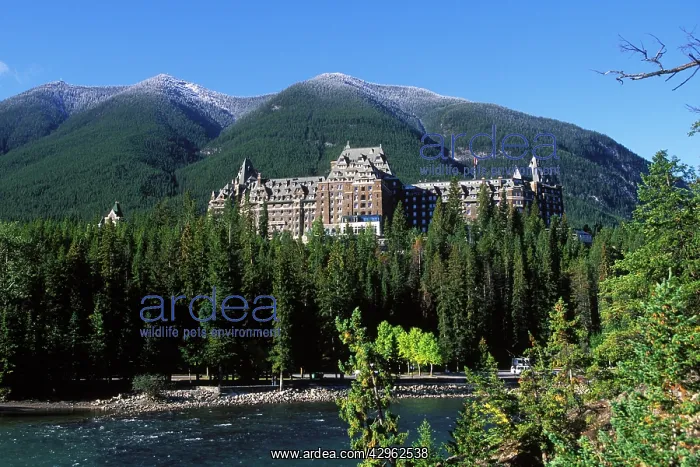 : Banff Springs Hotel : Banff Springs Hotel
