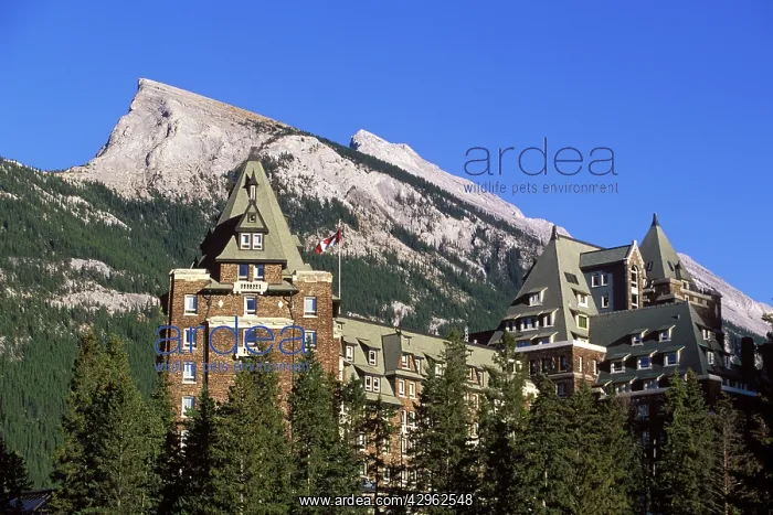 : Banff Springs Hotel : Banff Springs Hotel