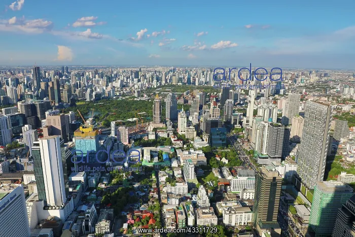 : Bangkok city skyline and Lumphini Park, Bangkok, Thailand : Bangkok city skyline and Lumphini Park, Bangkok, Thailand