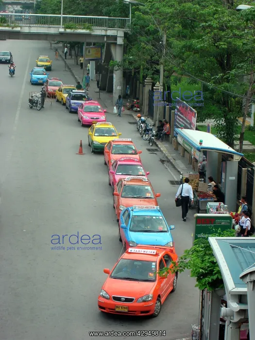  : Bangkok taxis