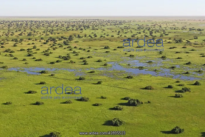 : Bangweuleu marshes : Bangweuleu marshes