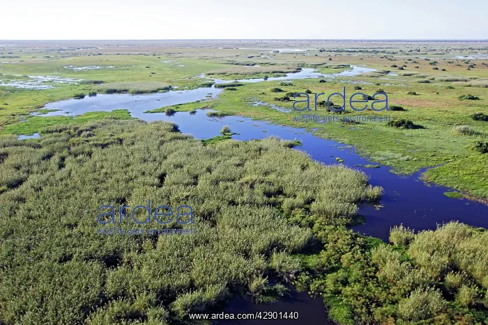  : Bangweuleu marshes - aerial
